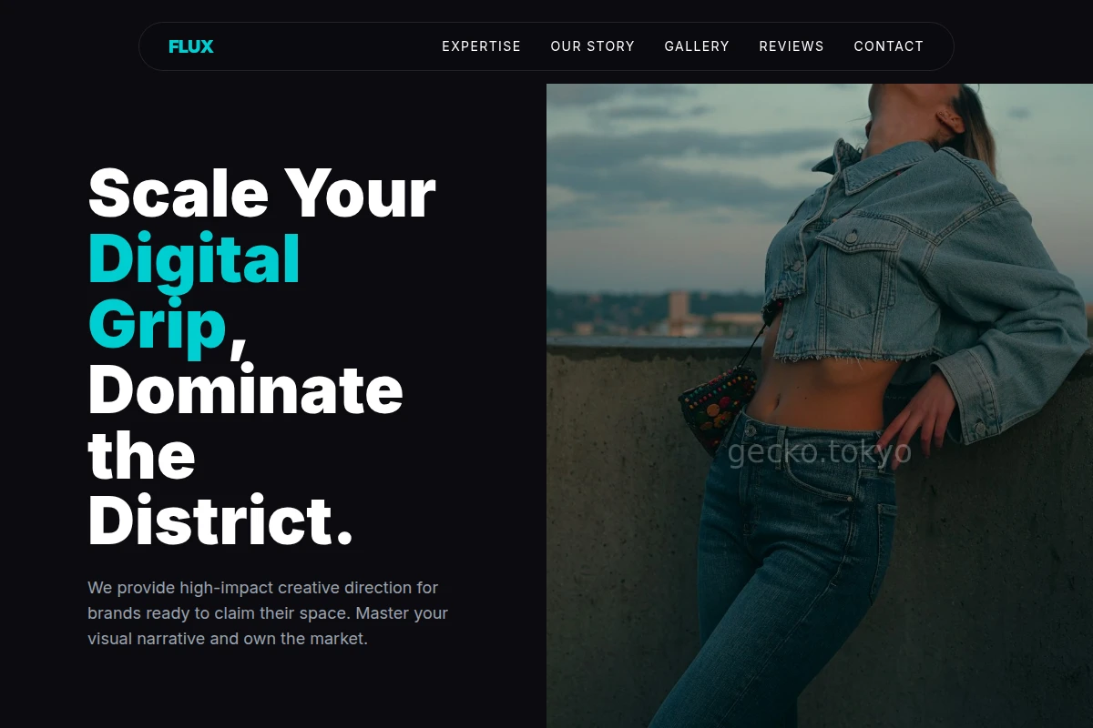 Flux Creative Direction
