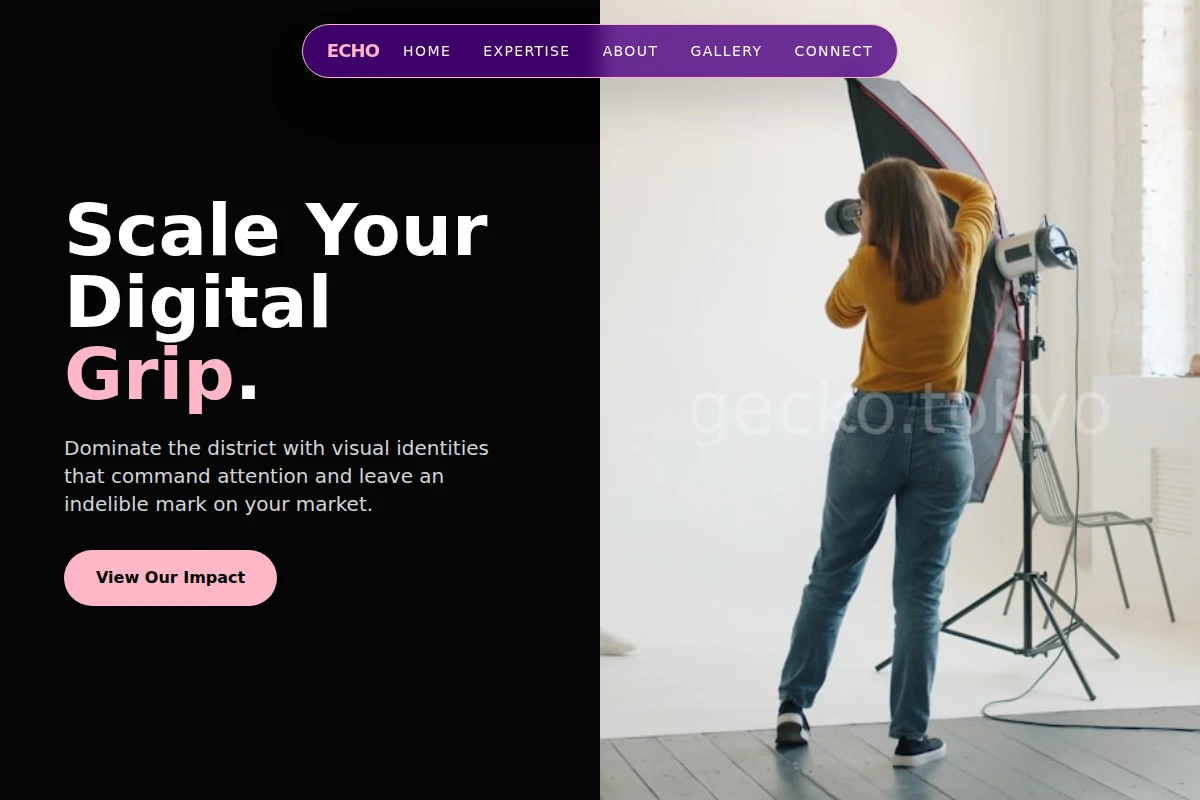 Echo Creative Direction